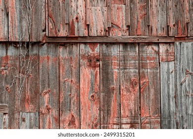 超色的小说 超色的小说